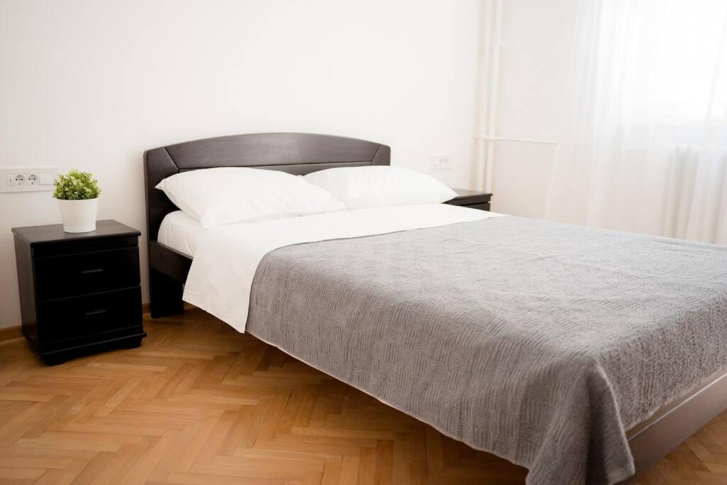 Downtown, Spacious, 2 Bedroom Apartment Belgrado Exterior foto